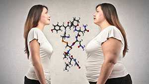 Влияние гормонов на лишний вес